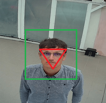 Système de contrôle d'accès par reconnaissance faciale pour portail automatique